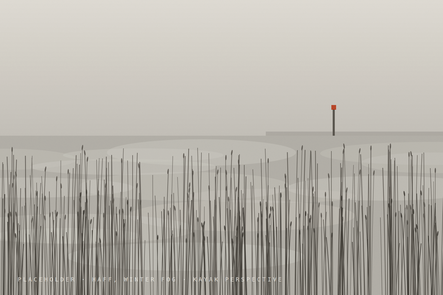 The Haff in winter fog